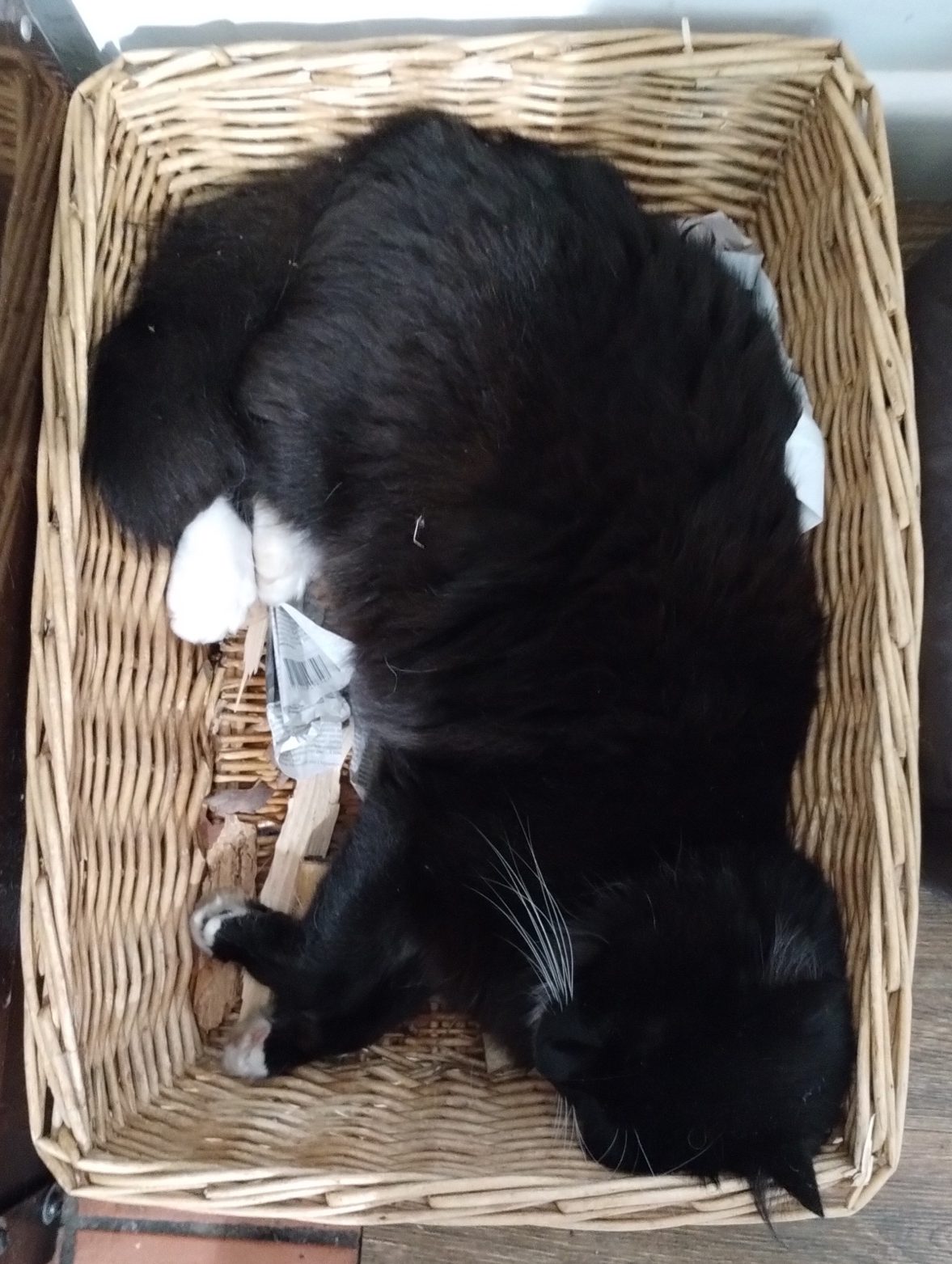 img_20230909_183406374_original-1